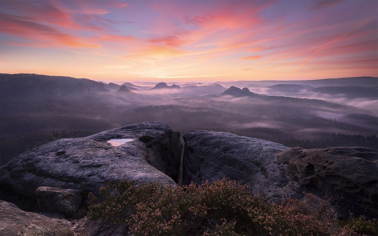 nature, Landscape, Sunrise, Mist, Sky, Mountain, Clouds, Wildflowers, Forest Wallpaper