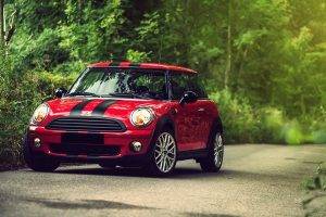 car, Mini Cooper, Stripes, Red, Road, Nature, Forest