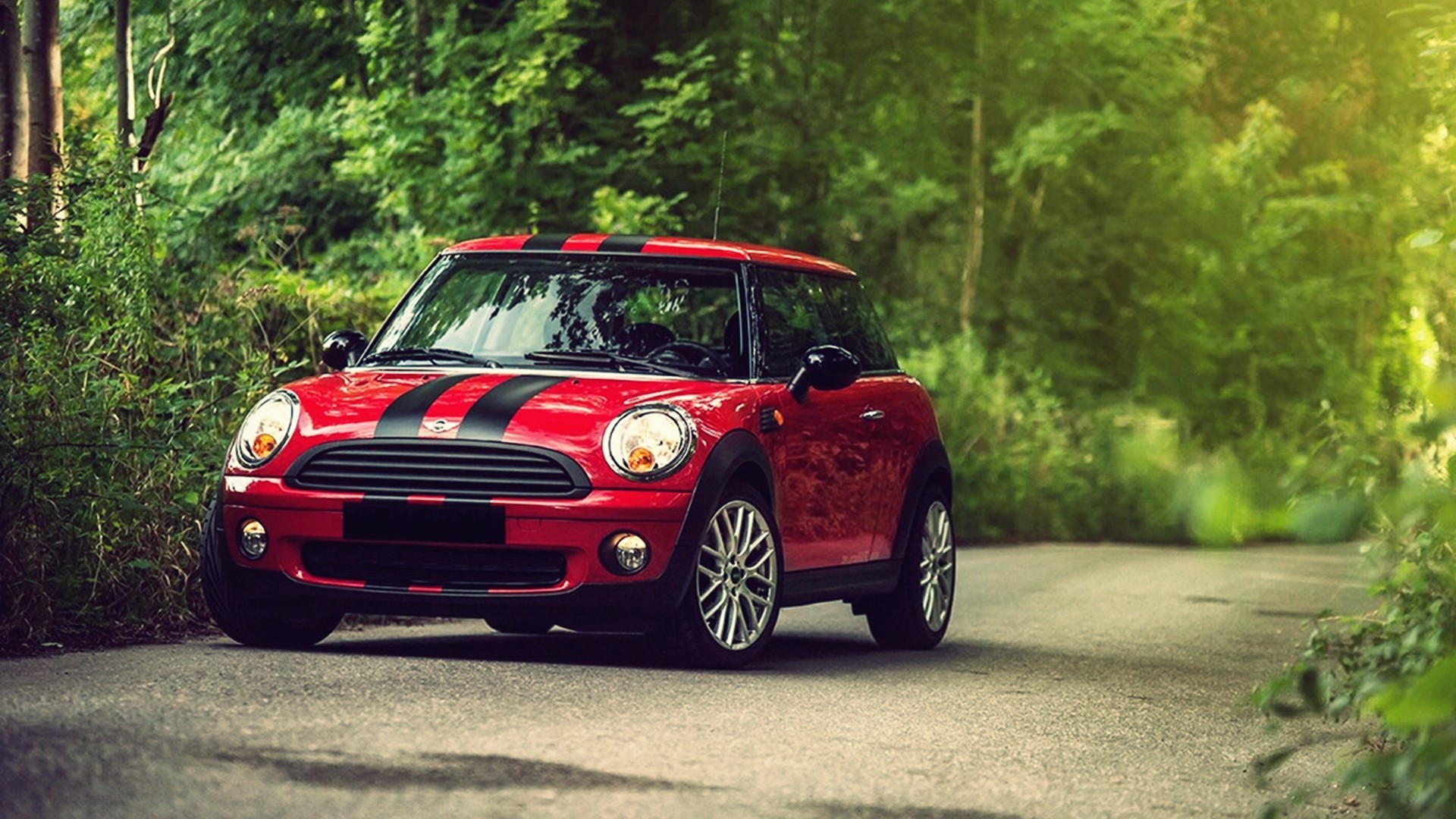 car, Mini Cooper, Stripes, Red, Road, Nature, Forest Wallpaper