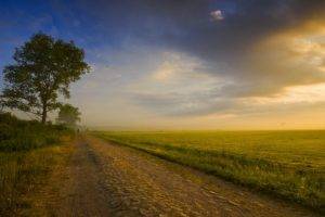 nature, Landscape, Sunrise, Field, Dirt Road, Trees, Grass, Clouds, Poland, Walking, Shrubs