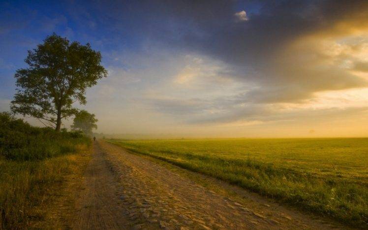 nature, Landscape, Sunrise, Field, Dirt Road, Trees, Grass, Clouds, Poland, Walking, Shrubs HD Wallpaper Desktop Background