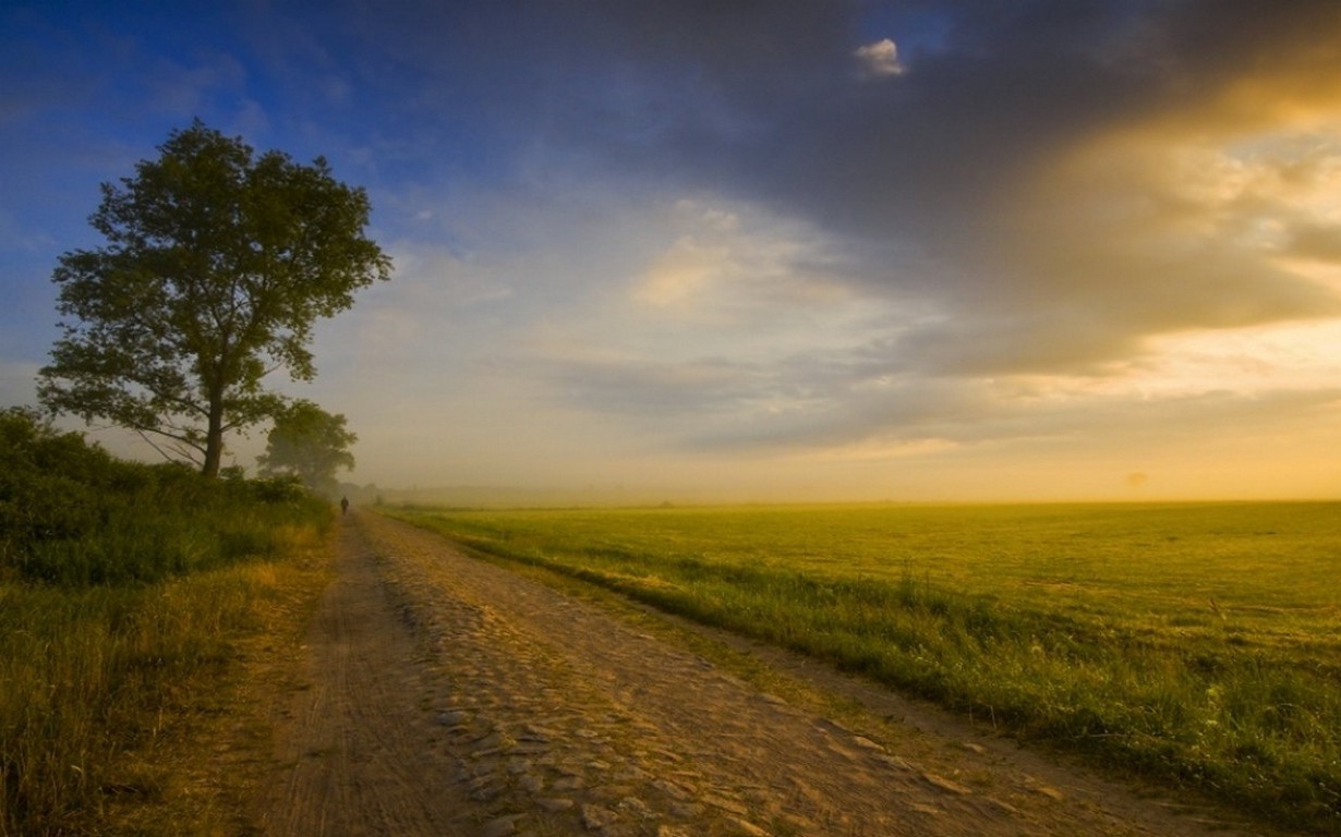 nature, Landscape, Sunrise, Field, Dirt Road, Trees, Grass, Clouds, Poland, Walking, Shrubs Wallpaper