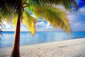 island, Rangiroa, French Polynesia, Palm Trees, Nature, Beach, Tropical, Sea, Landscape, Sand, Clouds