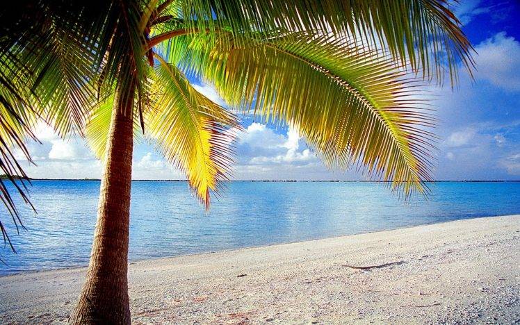 island, Rangiroa, French Polynesia, Palm Trees, Nature, Beach, Tropical, Sea, Landscape, Sand, Clouds HD Wallpaper Desktop Background