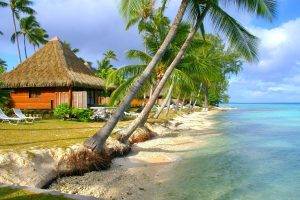 nature, Landscape, Tropical, Beach, Sea, Island, Palm Trees, Bungalow, Summer