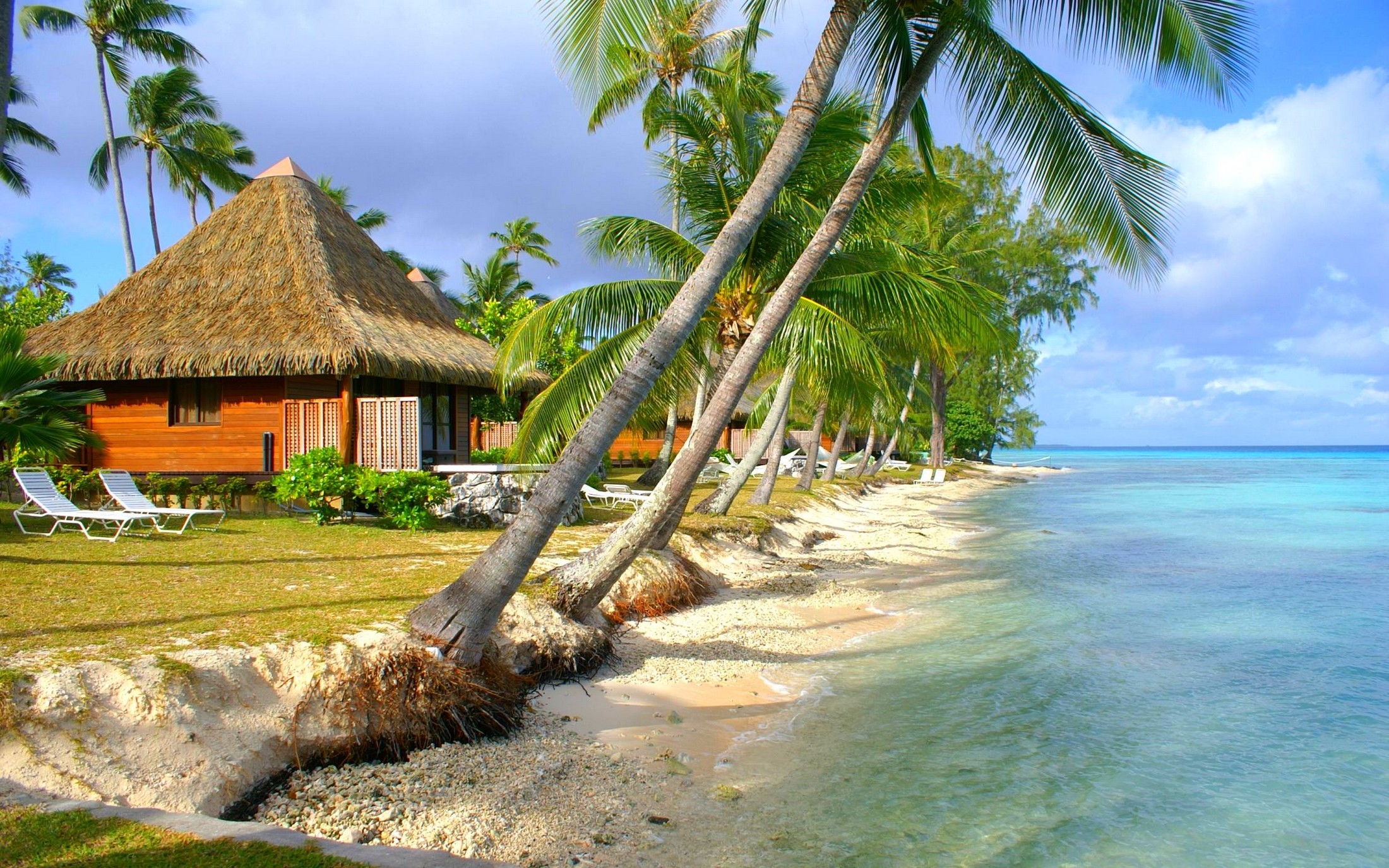 nature, Landscape, Tropical, Beach, Sea, Island, Palm Trees, Bungalow, Summer Wallpaper