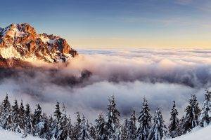 landscape, Mountain, Mist, Pine Trees, Winter, Slovakia, Multiple Display