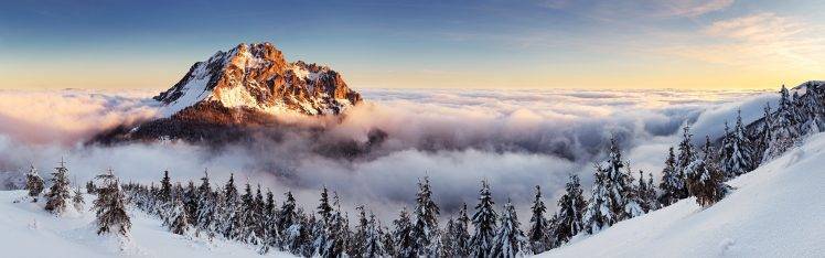 landscape, Mountain, Mist, Pine Trees, Winter, Slovakia, Multiple Display HD Wallpaper Desktop Background