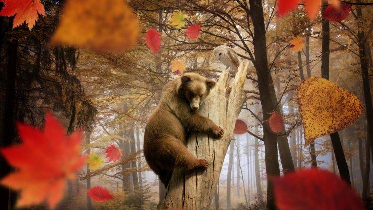 nature, Landscape, Trees, Leaves, Fall, Animals, Bears, Birds, Owl, Branch, Mist, Dead Trees, Photo Manipulation, Climbing HD Wallpaper Desktop Background