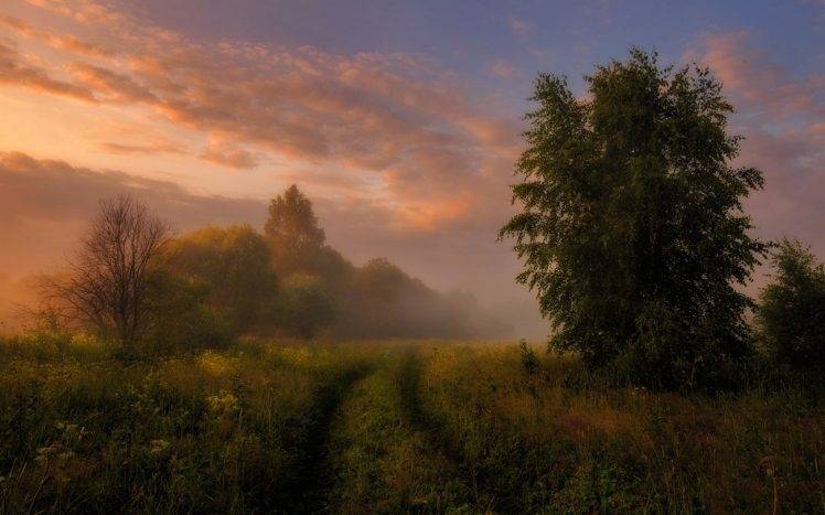 nature, Landscape, Mist, Morning, Sunrise, Clouds, Trees, Shrubs, Path, Grass HD Wallpaper Desktop Background