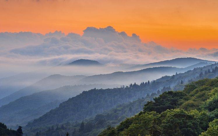 nature, Landscape, Mountain, Sunrise, Clouds, Mist, Forest, Sky, Green, Orange HD Wallpaper Desktop Background