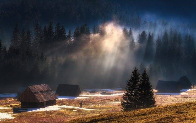 nature, Landscape, Sun Rays, Sunrise, Mountain, Forest, Mist, Cabin, Snow, Trees HD Wallpaper Desktop Background