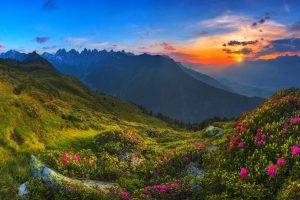 nature, Landscape, Tyrol, Sunrise, Mountain, Austria, Wildflowers, Sky, Grass, Mist, Clouds