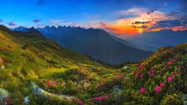 nature, Landscape, Tyrol, Sunrise, Mountain, Austria, Wildflowers, Sky, Grass, Mist, Clouds HD Wallpaper Desktop Background