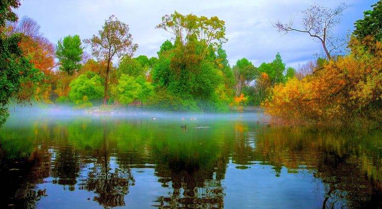 nature, Landscape, Morning, Mist, Park, Lake, Bridge, Trees, Fall, Water HD Wallpaper Desktop Background