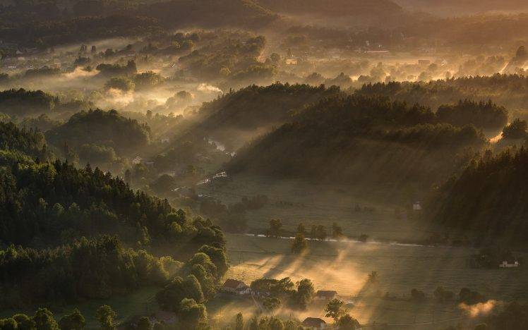 nature, Landscape, Sunbeams, Sunrise, Mist, Forest, Village, Trees, Sun Rays, Mountain HD Wallpaper Desktop Background