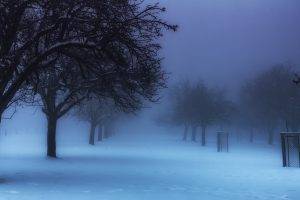 nature, Landscape, Winter, Park, Germany, Mist, Trees, Cold, Snow, Blue, Calm, Morning