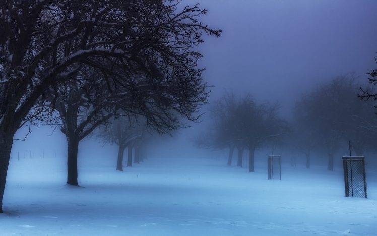 nature, Landscape, Winter, Park, Germany, Mist, Trees, Cold, Snow, Blue, Calm, Morning HD Wallpaper Desktop Background