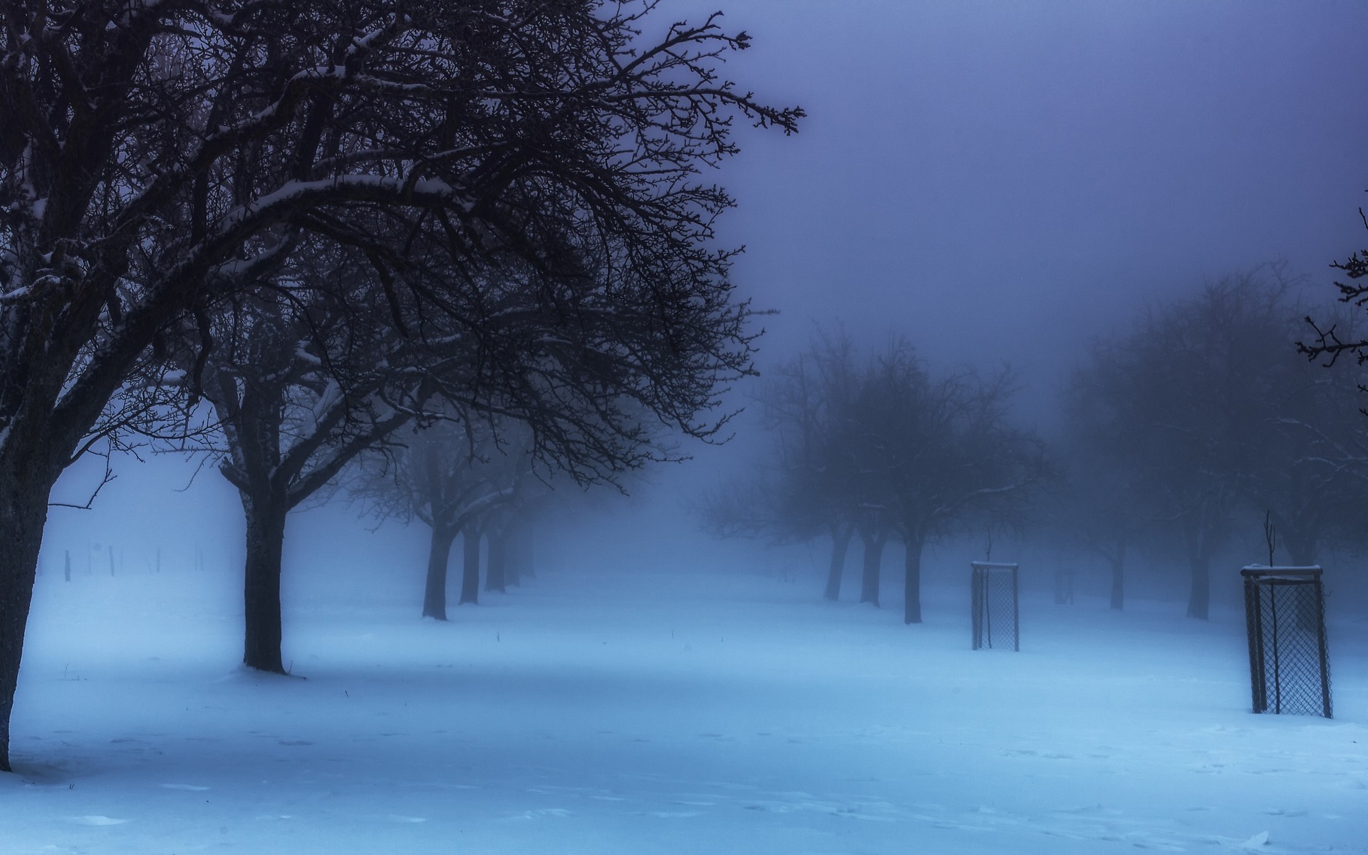 nature, Landscape, Winter, Park, Germany, Mist, Trees, Cold, Snow, Blue, Calm, Morning Wallpaper