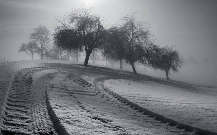 monochrome, Landscape, Nature, Winter, Trees, Tracks, Mist, Morning, Sunlight HD Wallpaper Desktop Background