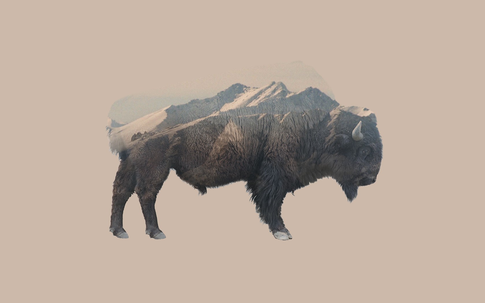 Double Exposure, Animals, Mountain, Nature, Bison Wallpaper