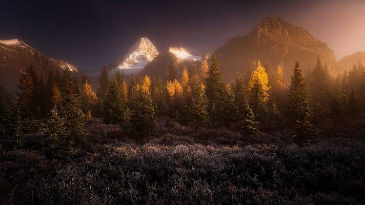 landscape, Nature, Sunrise, Mist, Forest, Mountain, Snowy Peak, Canada, Grass, Trees, Fall HD Wallpaper Desktop Background