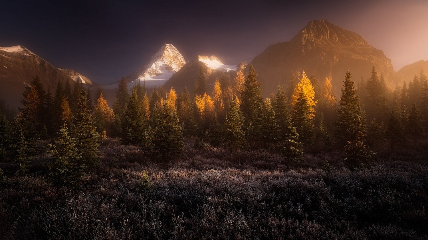landscape, Nature, Sunrise, Mist, Forest, Mountain, Snowy Peak, Canada