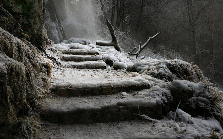 landscape, Nature, Winter, Waterfall, Germany, Stairs, Frost, Trees, Ice, Cold HD Wallpaper Desktop Background