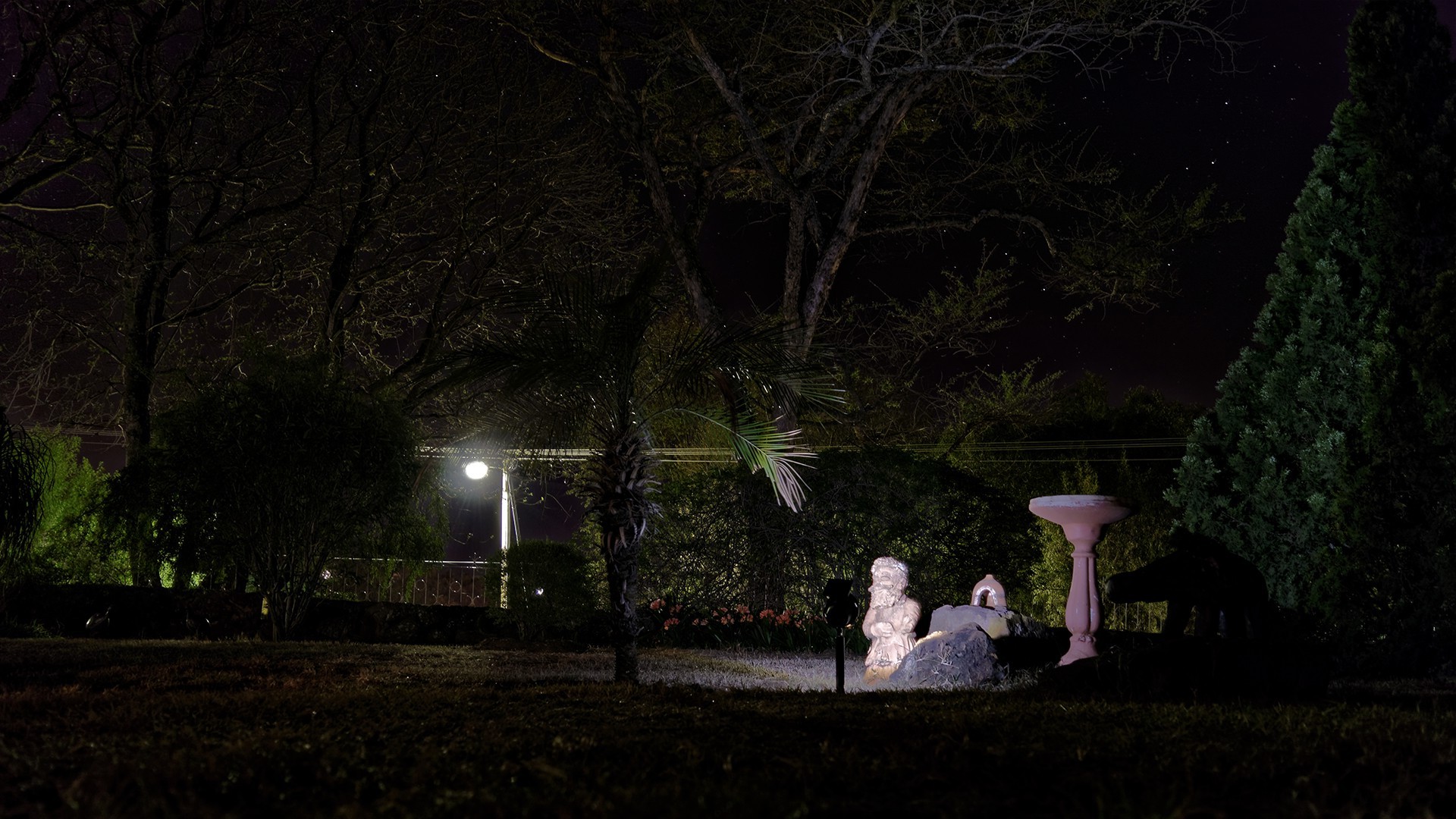 landscape, Night, Stars, Lights, Trees, Long Exposure Wallpaper