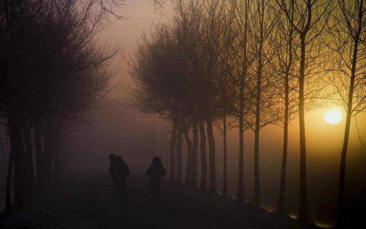 nature, Landscape, Mist, Sunrise, Trees, Children, Dirt Road, Creeks HD Wallpaper Desktop Background