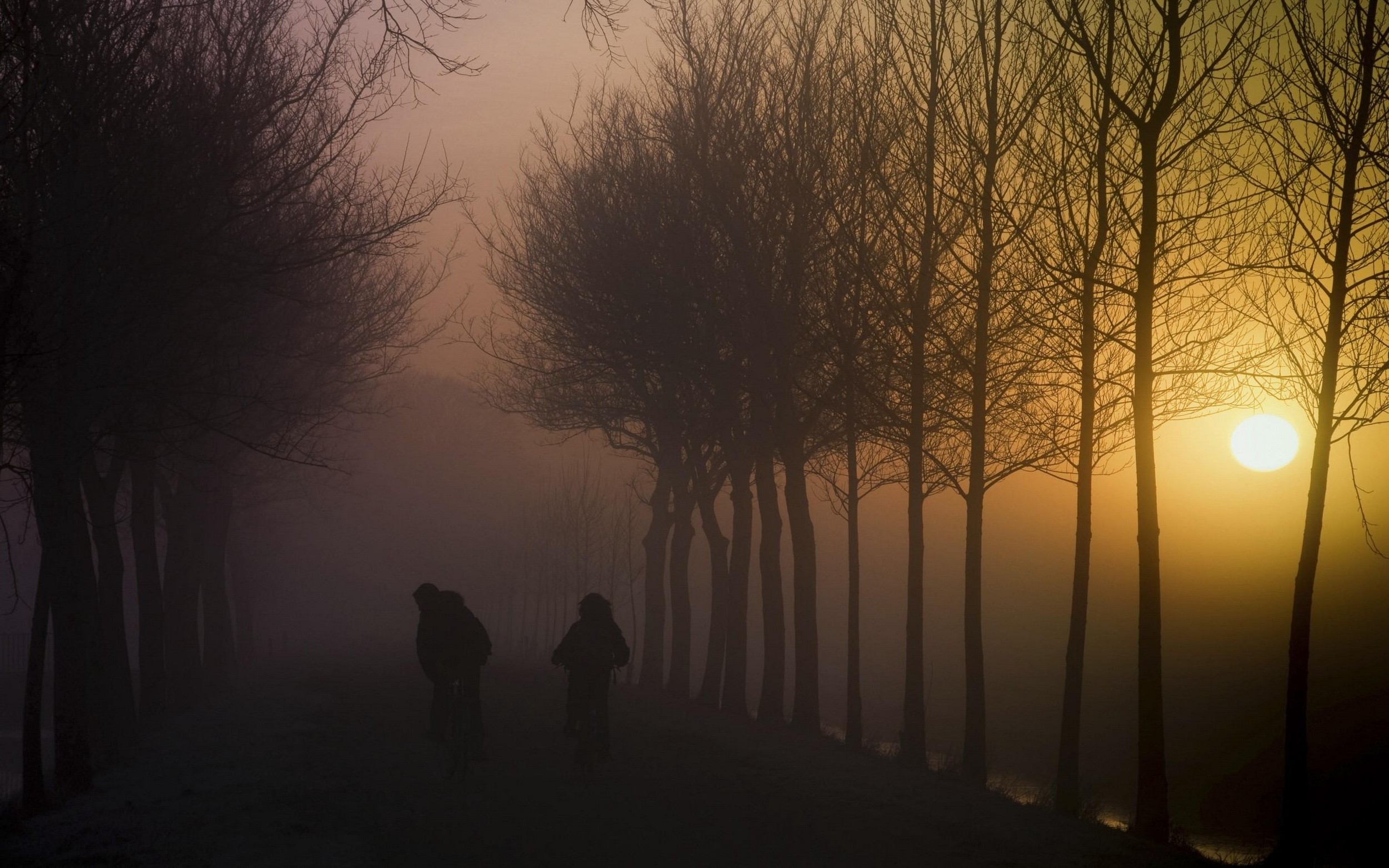 nature, Landscape, Mist, Sunrise, Trees, Children, Dirt Road, Creeks Wallpaper