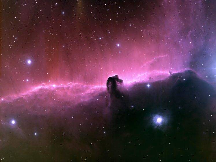 space, Stars, Horsehead Nebula HD Wallpaper Desktop Background