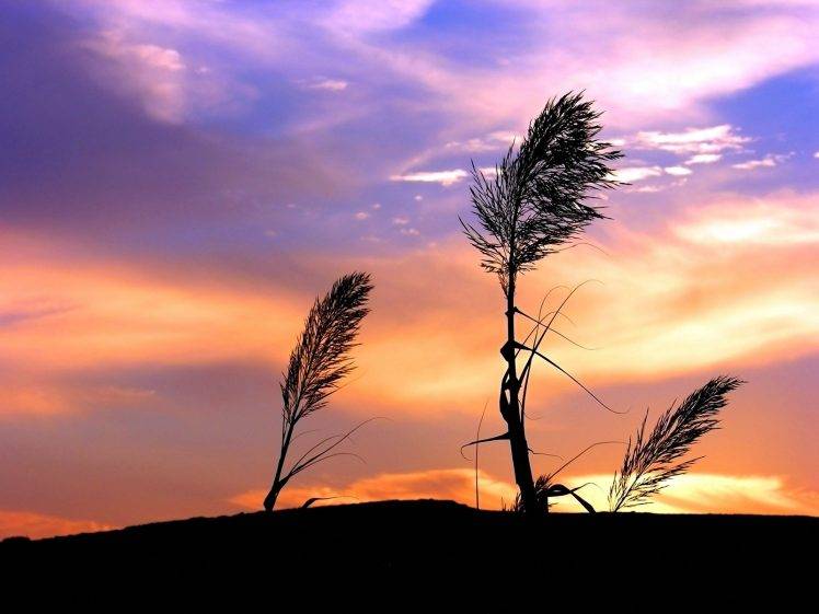 landscape, Sunset HD Wallpaper Desktop Background