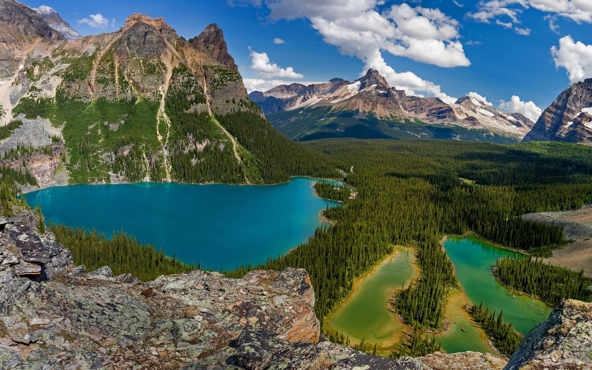 Nature Landscape Lake Ohara British Columbia Canada Forest