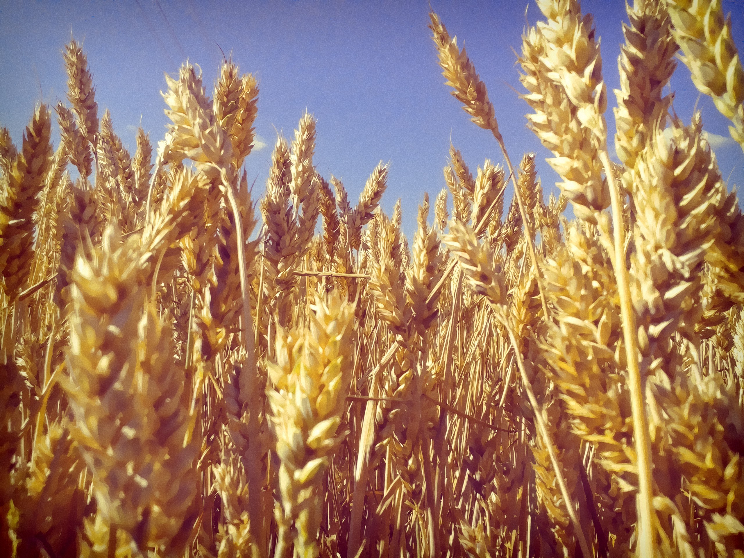 nature, Landscape, Texture Wallpaper