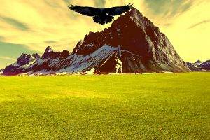 landscape, Mountain, Sunset, Raven, Grass