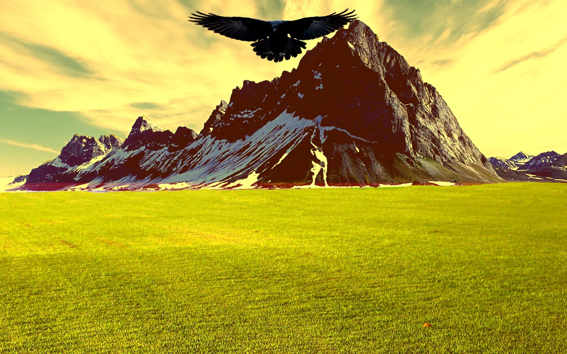 landscape, Mountain, Sunset, Raven, Grass Wallpaper