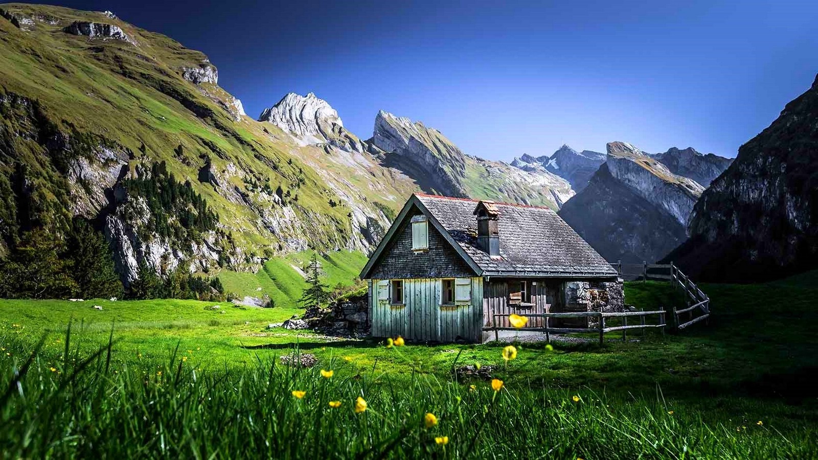 nature, Landscape, Cabin, Mountain, Grass, Shrubs, Fence, Wildflowers