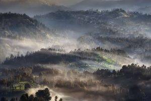 nature, Landscape, Mist, Sunrise, Village, Trees, Hill, Morning