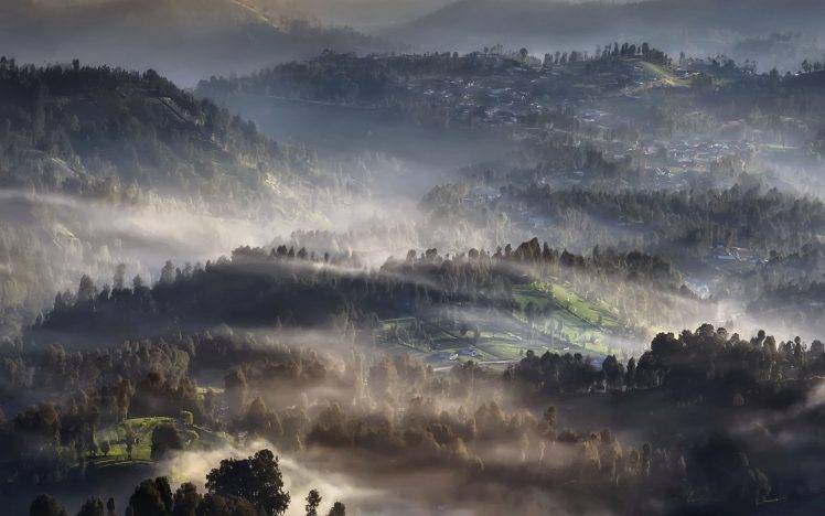 nature, Landscape, Mist, Sunrise, Village, Trees, Hill, Morning HD Wallpaper Desktop Background