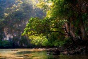 nature, Landscape, Trees, Mountain, River, Sunlight, Roots, Shrubs, Green, Water