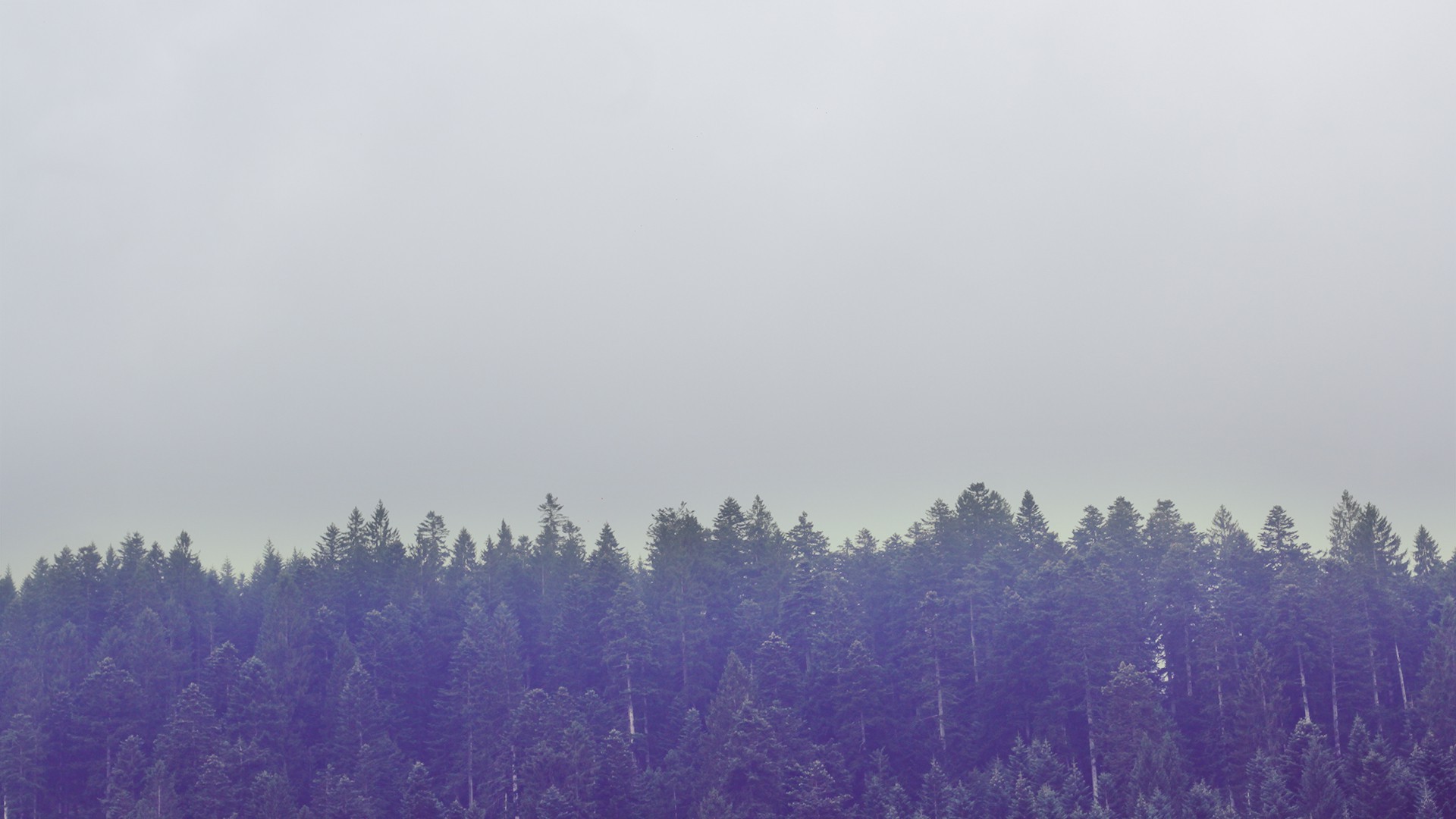 nature, Trees, Italy, Mountain, Landscape, Europe, Sky, Muted Wallpaper