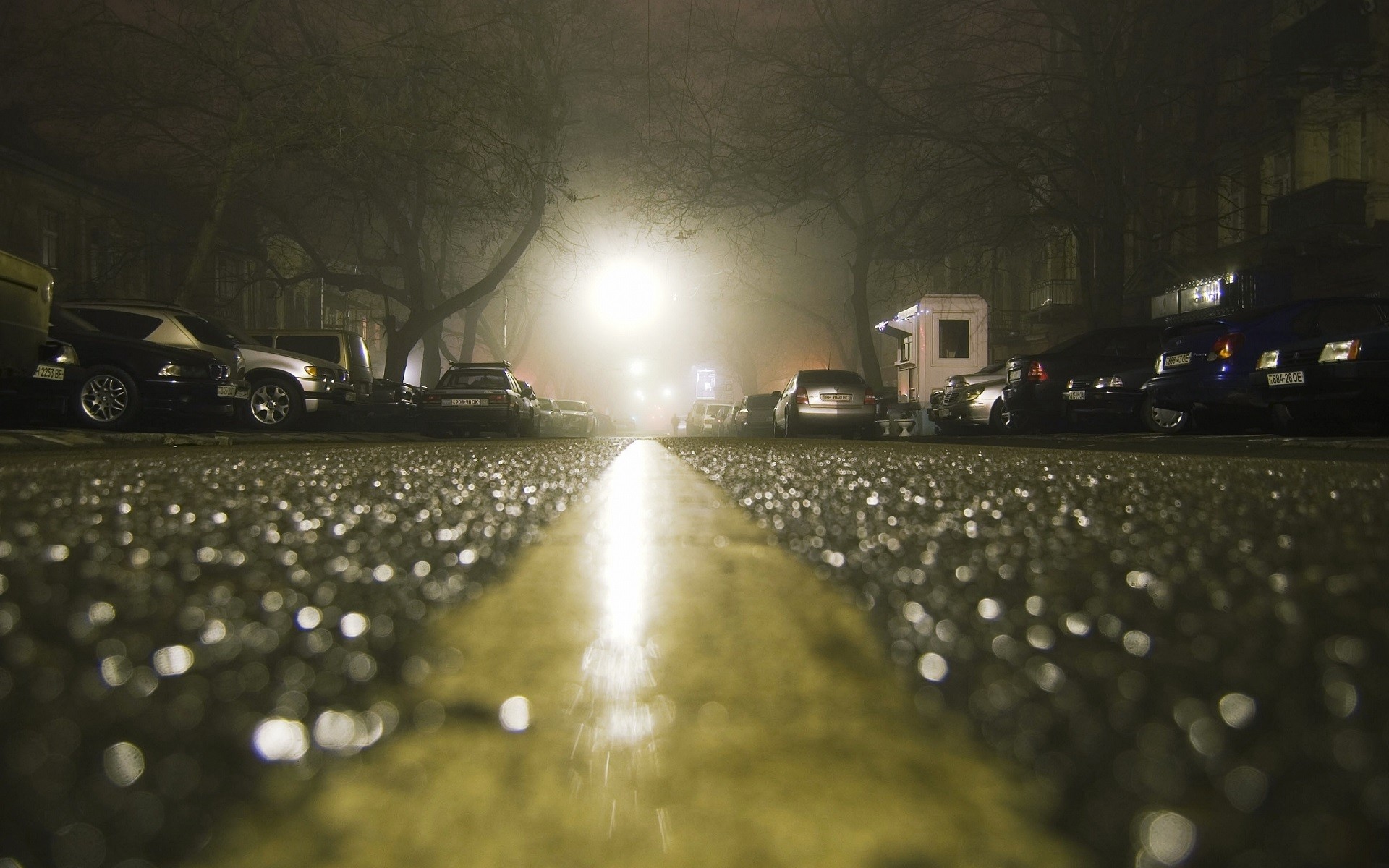 city, Road, Rain, Wet, Depth Of Field, Lights, Car, Night, Trees, Worms Eye View, Shiny Wallpaper
