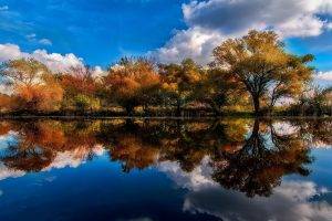 nature, Landscape, Lake, Trees, Reflection, Shrubs, Clouds, Water, Fall, Blue, Calm