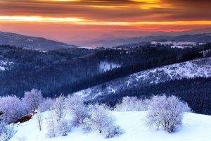 winter, Sunrise, Valley, Snow, Mountain, Nature, Landscape, Sky, Clouds, Trees, Mist, Shrubs