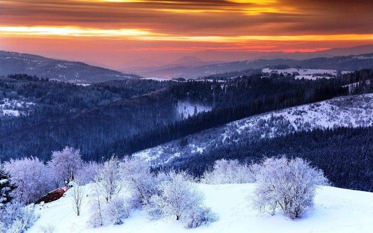 winter, Sunrise, Valley, Snow, Mountain, Nature, Landscape, Sky, Clouds, Trees, Mist, Shrubs HD Wallpaper Desktop Background