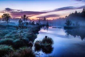 landscape, Nature, Mist, Sunrise, Trees, Shrubs, River, Germany, Calm, Water, Blue, Morning, Europe, Reflection