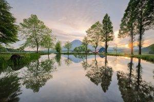 landscape, Nature, Japan, Trees, Sunrise, Reflection, Mountain, Grass, Water, Pond, Spring