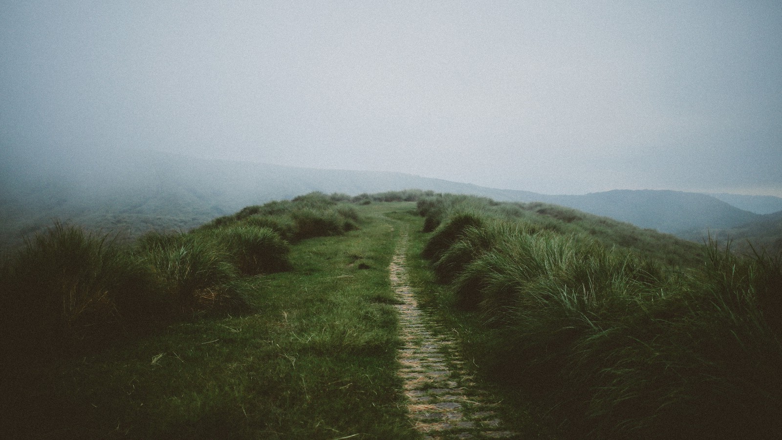 nature, Mist, Grass Wallpapers HD / Desktop and Mobile Backgrounds