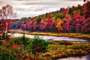 nature, Landscape, Trees, River, Fall, Forest, Colorful, New York State, Grass, Mountain, Clouds